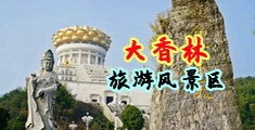 使劲操小骚逼视频中国浙江-绍兴大香林旅游风景区